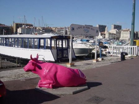 vache_ferry_boat_petit.jpg