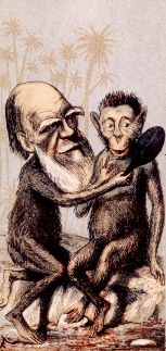 darwin-caricatures.jpg