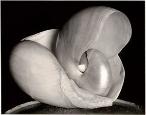 edward_weston_shell_glendale_1927.jpg