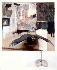 rauschenberg_canyon_1959.jpg